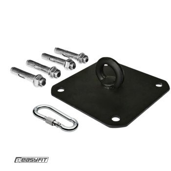 Кріплення для боксерської груші EasyFit стельове