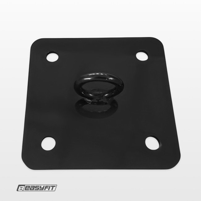 Кріплення для боксерської груші EasyFit стельове