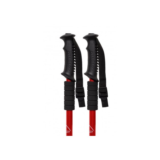 Палиця для скандинавської ходьби EasyFit Energia червона