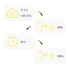 М'яч для фітнесу (фітбол) Cornix 65 см Anti-Burst XR-0364 Light Pink