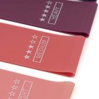 Резинки для фітнесу Actiget Mini Power Band набір 5 шт 1-20 кг ACT0105