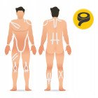 Стрічка кінезіологічна (кінезіо тейп) 4FIZJO 5 см x 5 м White (P-5907739318831)