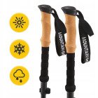 Трекінгові палиці Mountain Goat Active 38-130 см Black (P-5905973404679)